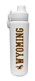 24oz. Stainless Steel Collegiate Water Bottle